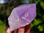 Natural Jacaranda Amethyst Single Crystals x 12 From Mumbwa, Zambia - Toprock Gemstones and Minerals 
