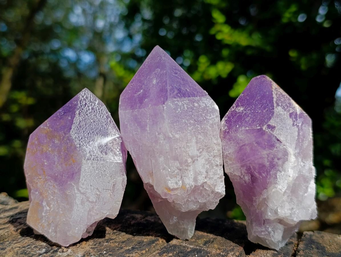 Natural Jacaranda Amethyst Single Crystals x 12 From Mumbwa, Zambia - Toprock Gemstones and Minerals 