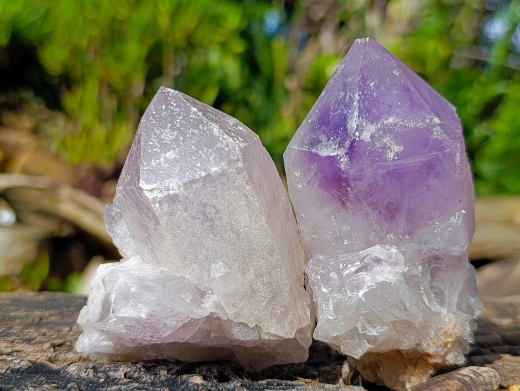 Natural Jacaranda Amethyst Single Crystals x 12 From Mumbwa, Zambia - Toprock Gemstones and Minerals 