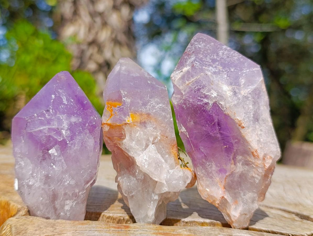 Natural Jacaranda Amethyst Single Crystals x 12 From Mumbwa, Zambia - Toprock Gemstones and Minerals 