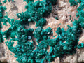 Natural XL Dioptase on Dolomite Specimen x 1 From Likasi, Congo - Toprock Gemstones and Minerals 