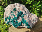 Natural XL Dioptase on Dolomite Specimen x 1 From Likasi, Congo - Toprock Gemstones and Minerals 