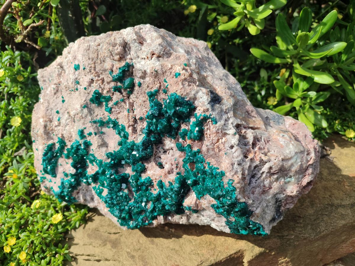 Natural XL Dioptase on Dolomite Specimen x 1 From Likasi, Congo - Toprock Gemstones and Minerals 