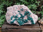 Natural XL Dioptase on Dolomite Specimen x 1 From Likasi, Congo - Toprock Gemstones and Minerals 