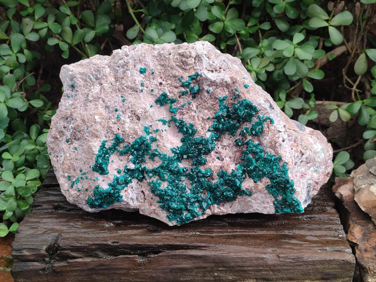 Natural XL Dioptase on Dolomite Specimen x 1 From Likasi, Congo - Toprock Gemstones and Minerals 