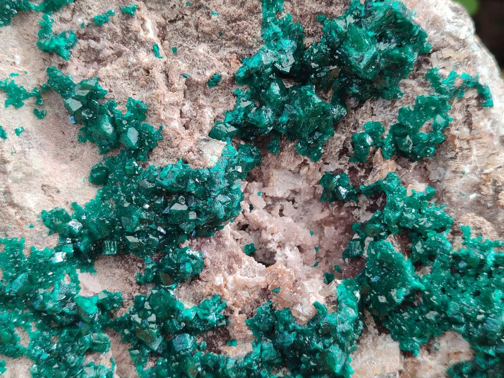 Natural XL Dioptase on Dolomite Specimen x 1 From Likasi, Congo - Toprock Gemstones and Minerals 
