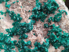 Natural XL Dioptase on Dolomite Specimen x 1 From Likasi, Congo - Toprock Gemstones and Minerals 