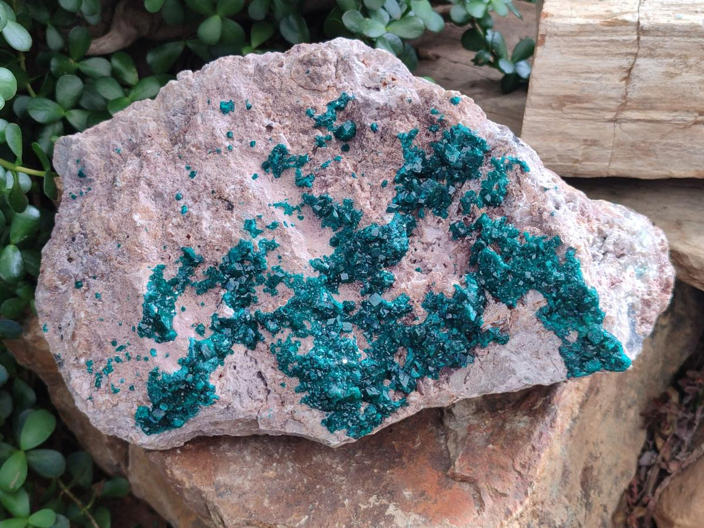 Natural XL Dioptase on Dolomite Specimen x 1 From Likasi, Congo - Toprock Gemstones and Minerals 