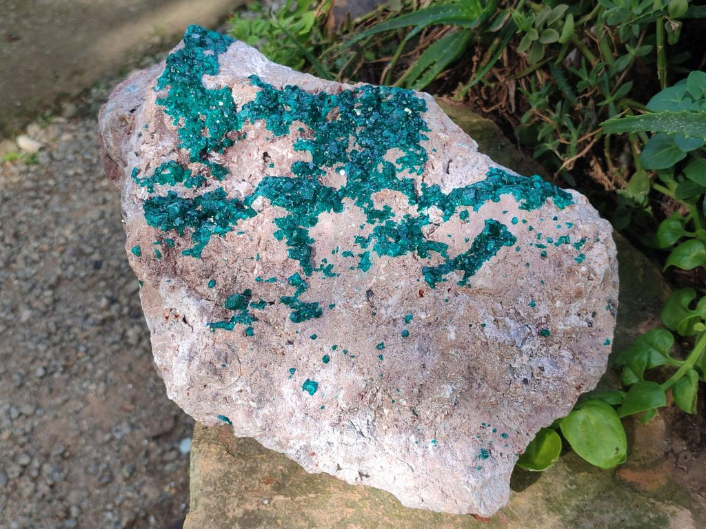 Natural XL Dioptase on Dolomite Specimen x 1 From Likasi, Congo - Toprock Gemstones and Minerals 