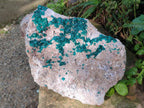 Natural XL Dioptase on Dolomite Specimen x 1 From Likasi, Congo - Toprock Gemstones and Minerals 