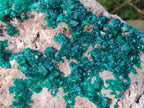 Natural XL Dioptase on Dolomite Specimen x 1 From Likasi, Congo - Toprock Gemstones and Minerals 