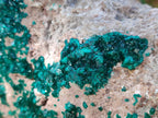 Natural XL Dioptase on Dolomite Specimen x 1 From Likasi, Congo - Toprock Gemstones and Minerals 