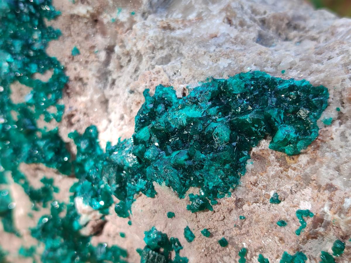 Natural XL Dioptase on Dolomite Specimen x 1 From Likasi, Congo - Toprock Gemstones and Minerals 