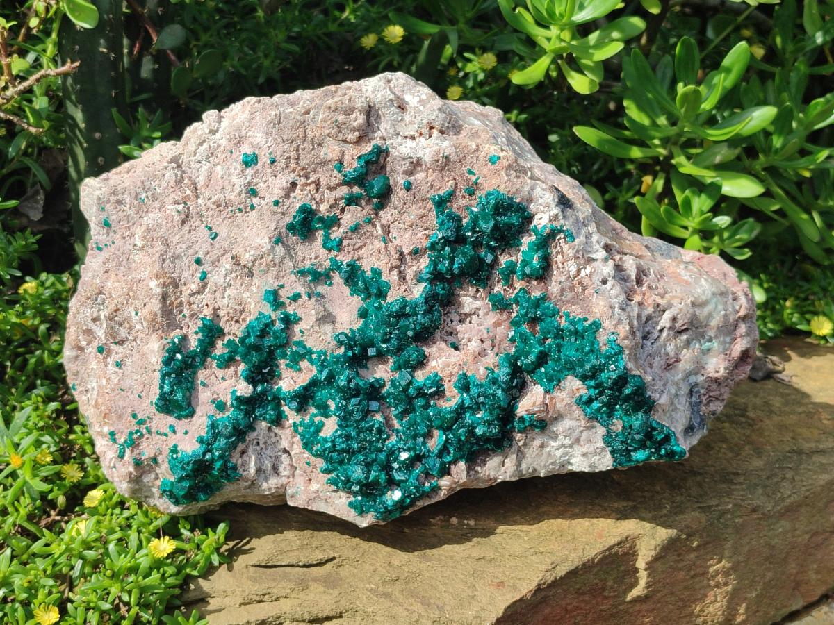 Natural XL Dioptase on Dolomite Specimen x 1 From Likasi, Congo - Toprock Gemstones and Minerals 
