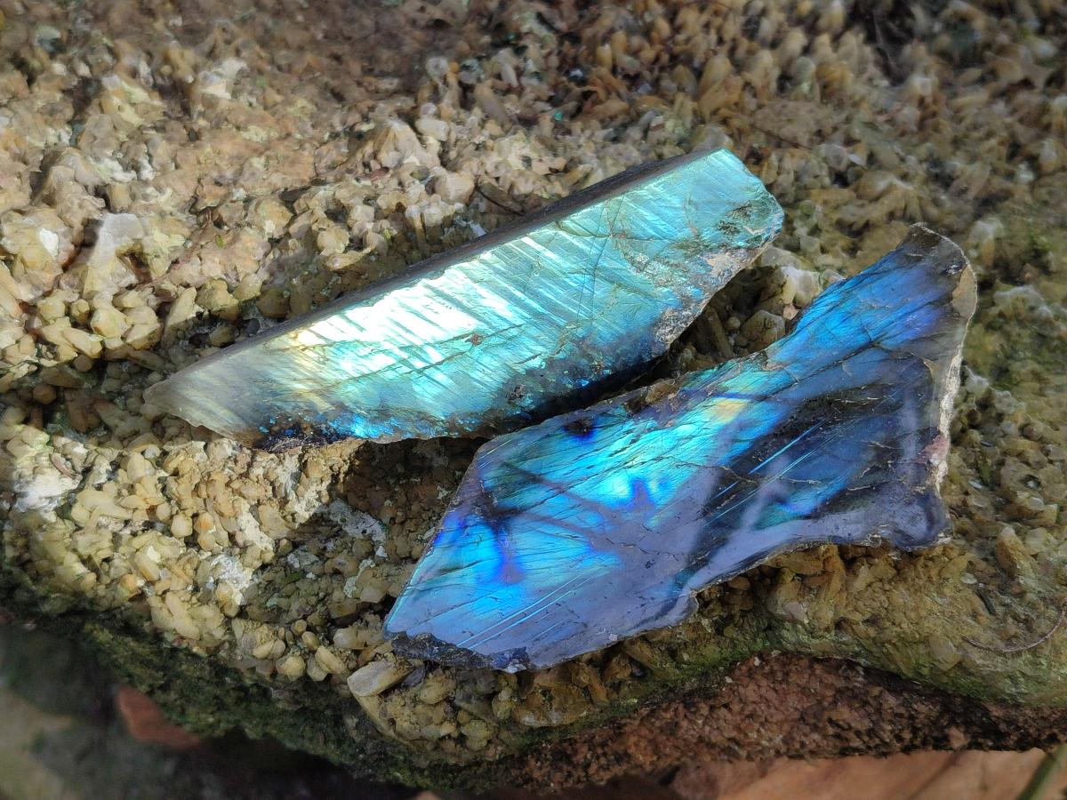 Polished One Side Labradorite Slices x 28 From Madagascar - Toprock Gemstones and Minerals 
