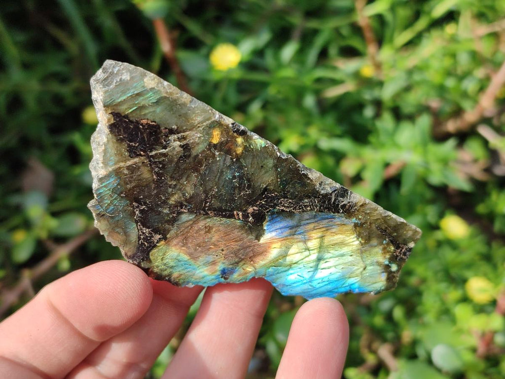 Polished One Side Labradorite Slices x 28 From Madagascar - Toprock Gemstones and Minerals 