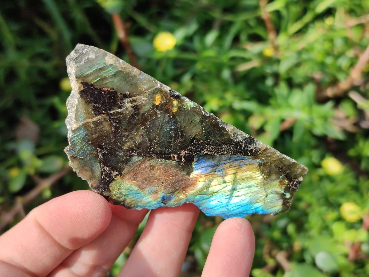 Polished One Side Labradorite Slices x 28 From Madagascar - Toprock Gemstones and Minerals 