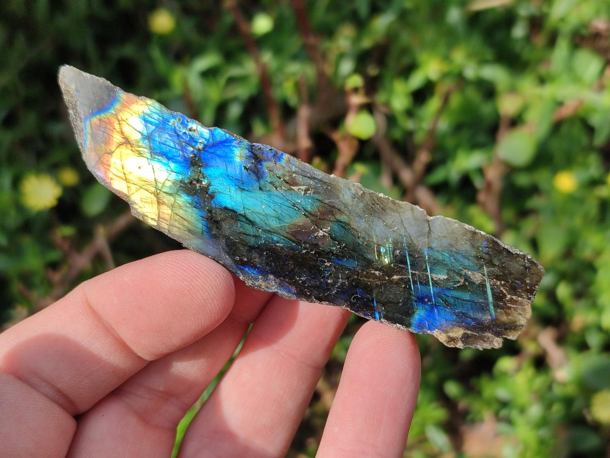 Polished One Side Labradorite Slices x 28 From Madagascar - Toprock Gemstones and Minerals 