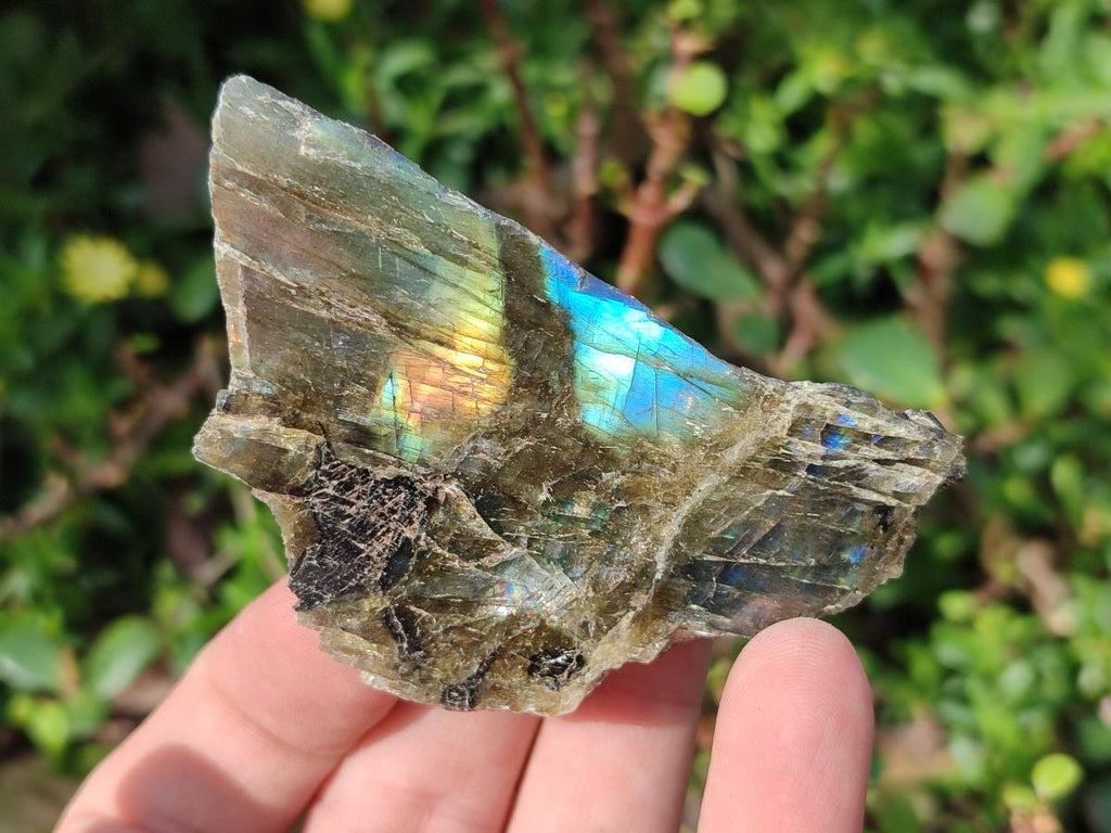 Polished One Side Labradorite Slices x 28 From Madagascar - Toprock Gemstones and Minerals 
