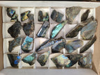 Polished One Side Labradorite Slices x 28 From Madagascar - Toprock Gemstones and Minerals 