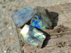 Polished One Side Labradorite Slices x 28 From Madagascar - Toprock Gemstones and Minerals 