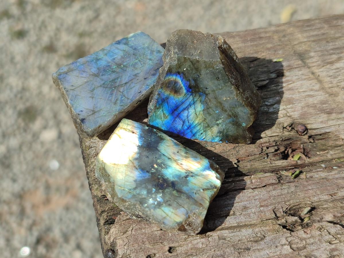 Polished One Side Labradorite Slices x 28 From Madagascar - Toprock Gemstones and Minerals 