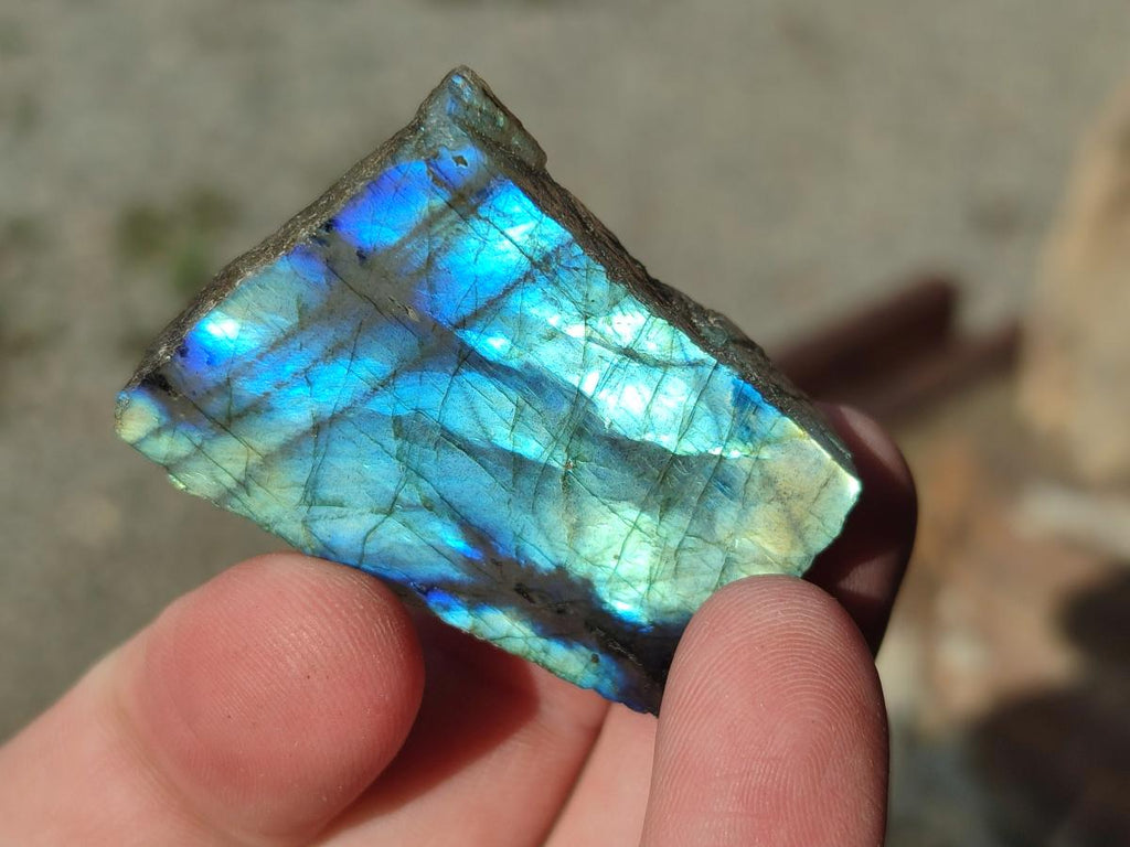 Polished One Side Labradorite Slices x 28 From Madagascar - Toprock Gemstones and Minerals 