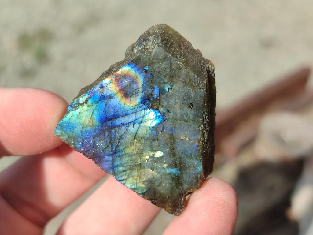 Polished One Side Labradorite Slices x 28 From Madagascar - Toprock Gemstones and Minerals 
