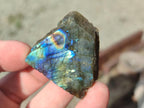 Polished One Side Labradorite Slices x 28 From Madagascar - Toprock Gemstones and Minerals 