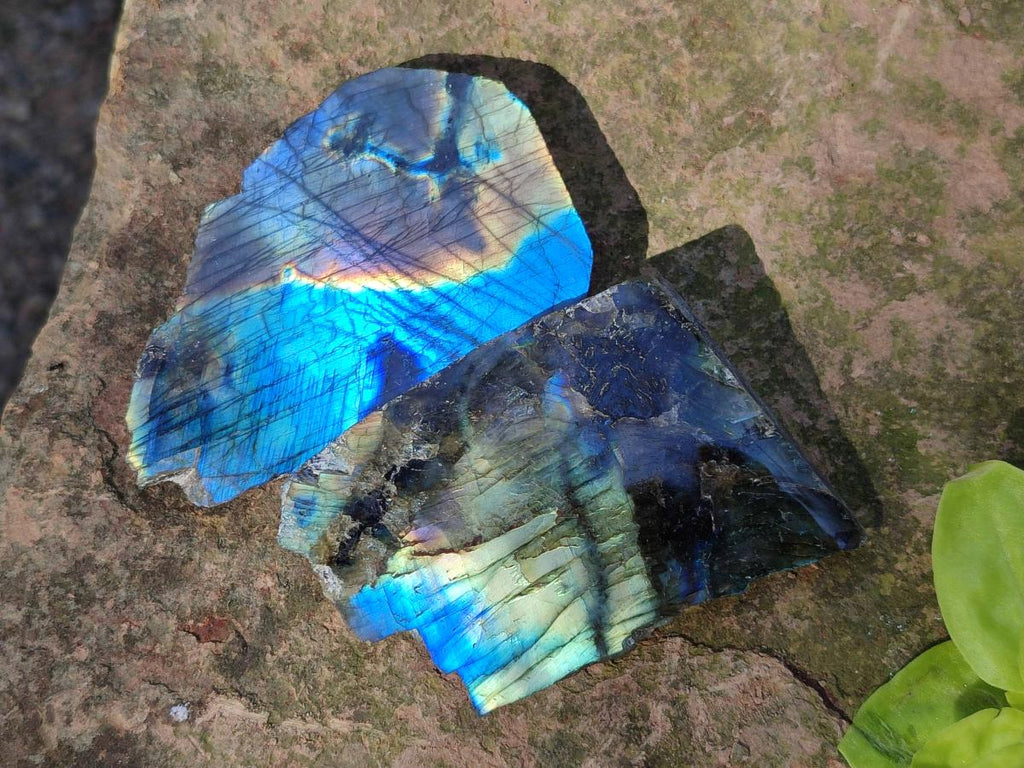Polished One Side Labradorite Slices x 28 From Madagascar - Toprock Gemstones and Minerals 