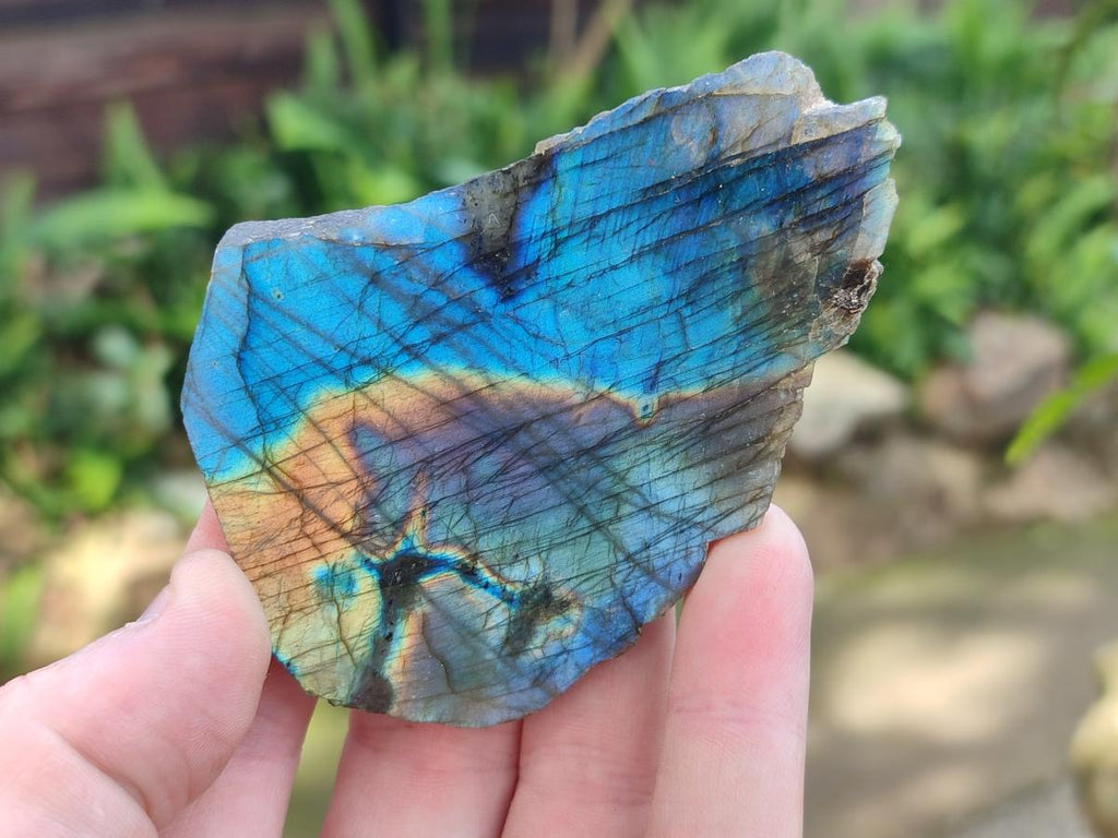 Polished One Side Labradorite Slices x 28 From Madagascar - Toprock Gemstones and Minerals 