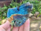 Polished One Side Labradorite Slices x 28 From Madagascar - Toprock Gemstones and Minerals 