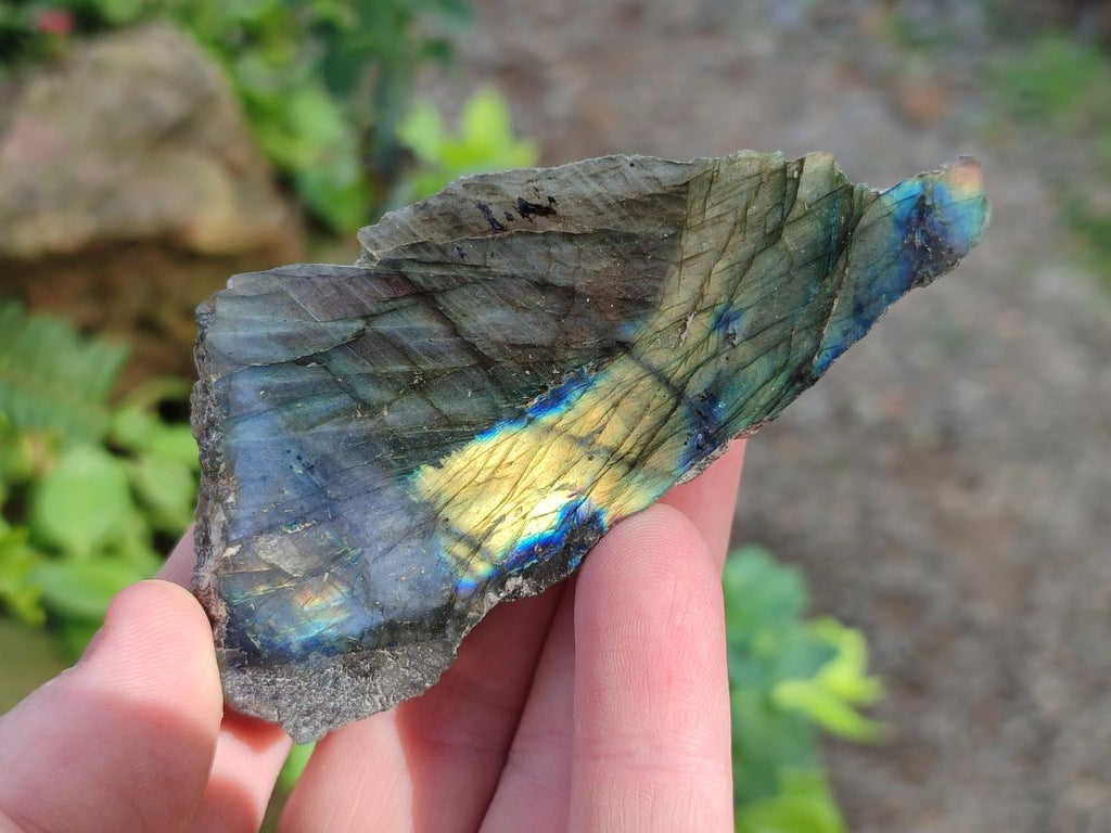 Polished One Side Labradorite Slices x 28 From Madagascar - Toprock Gemstones and Minerals 