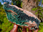 Natural Libethenite Crystals on Dolomite Matrix Specimens x 2 From Shituru, Congo - Toprock Gemstones and Minerals 