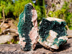 Natural Libethenite Crystals on Dolomite Matrix Specimens x 2 From Shituru, Congo - Toprock Gemstones and Minerals 