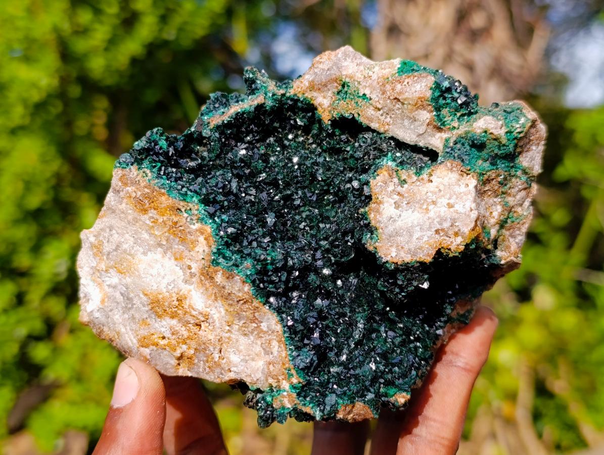 Natural Libethenite Crystals on Dolomite Matrix Specimens x 2 From Shituru, Congo