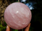 Polished Large Gemmy Rose Quartz Sphere x 1 From Madagascar - Toprock Gemstones and Minerals 