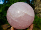 Polished Large Gemmy Rose Quartz Sphere x 1 From Madagascar - Toprock Gemstones and Minerals 