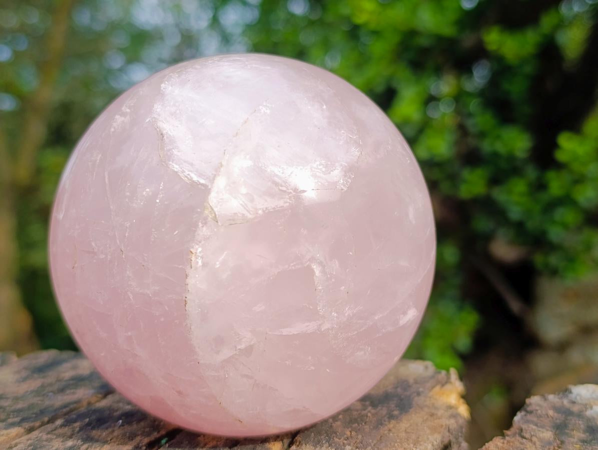 Polished Large Gemmy Rose Quartz Sphere x 1 From Madagascar - Toprock Gemstones and Minerals 