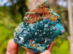 Natural Dioptase on Dolomite Specimens x 6 From Likasi, Congo - Toprock Gemstones and Minerals 
