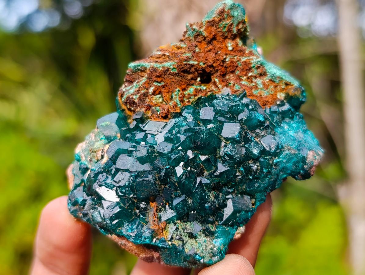 Natural Dioptase on Dolomite Specimens x 6 From Likasi, Congo - Toprock Gemstones and Minerals 