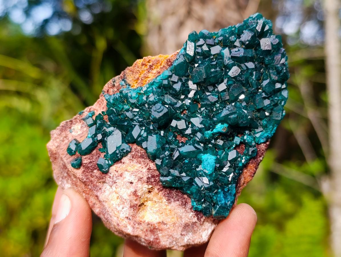 Natural Dioptase on Dolomite Specimens x 6 From Likasi, Congo - Toprock Gemstones and Minerals 