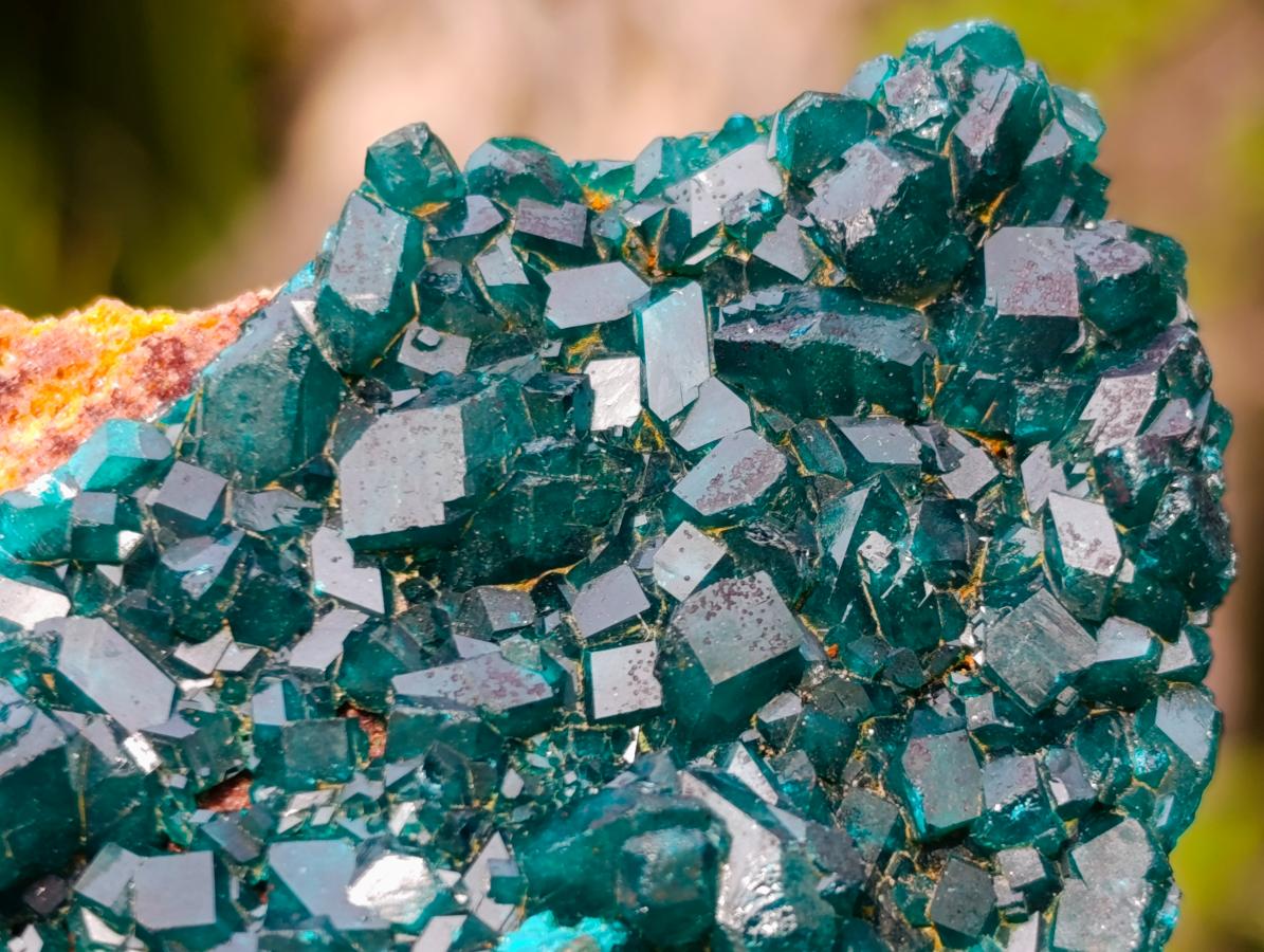 Natural Dioptase on Dolomite Specimens x 6 From Likasi, Congo