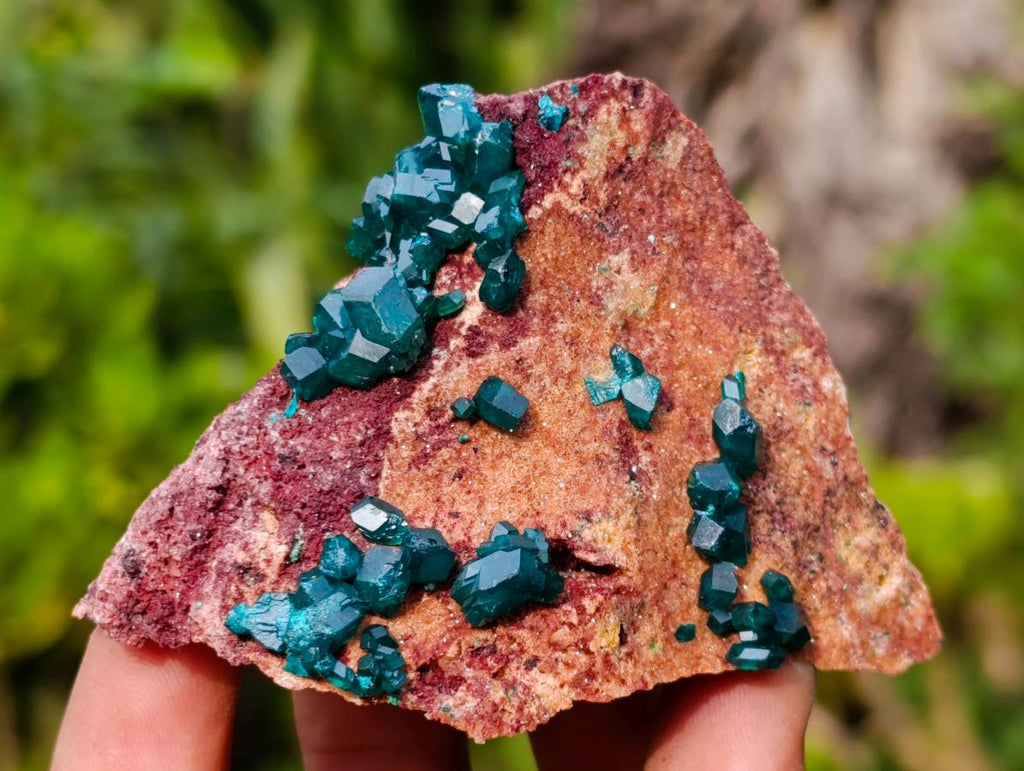 Natural Dioptase on Dolomite Specimens x 6 From Likasi, Congo - Toprock Gemstones and Minerals 
