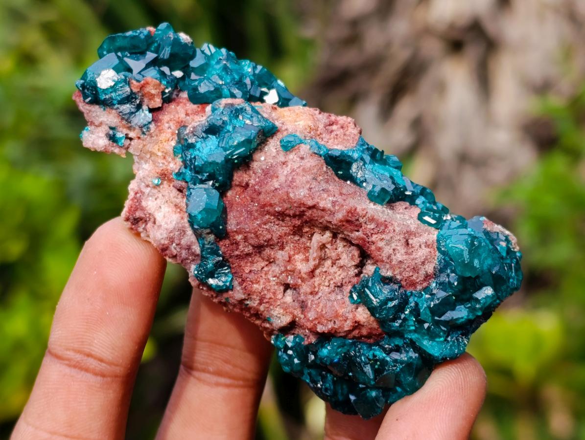 Natural Dioptase on Dolomite Specimens x 6 From Likasi, Congo - Toprock Gemstones and Minerals 