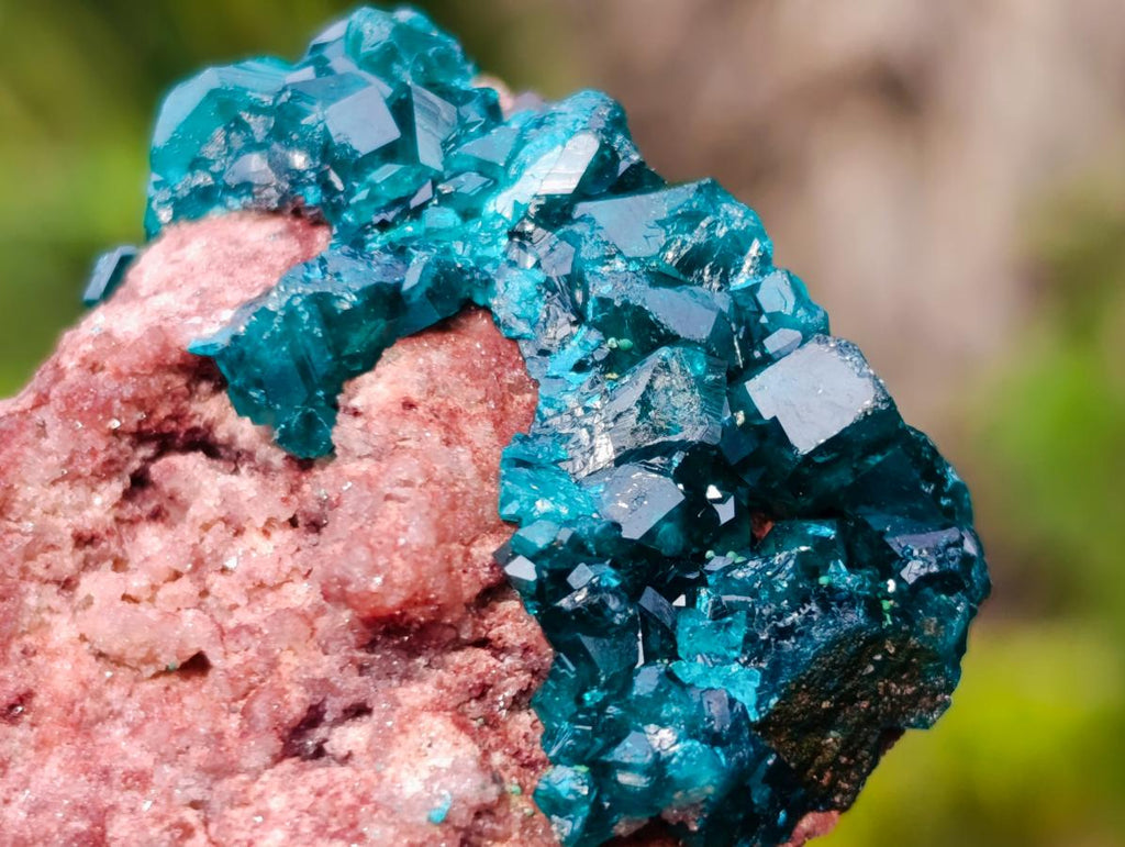 Natural Dioptase on Dolomite Specimens x 6 From Likasi, Congo - Toprock Gemstones and Minerals 