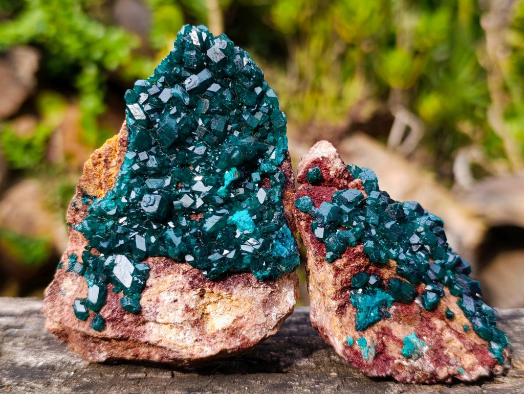 Natural Dioptase on Dolomite Specimens x 6 From Likasi, Congo - Toprock Gemstones and Minerals 