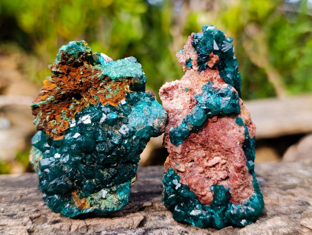 Natural Dioptase on Dolomite Specimens x 6 From Likasi, Congo - Toprock Gemstones and Minerals 