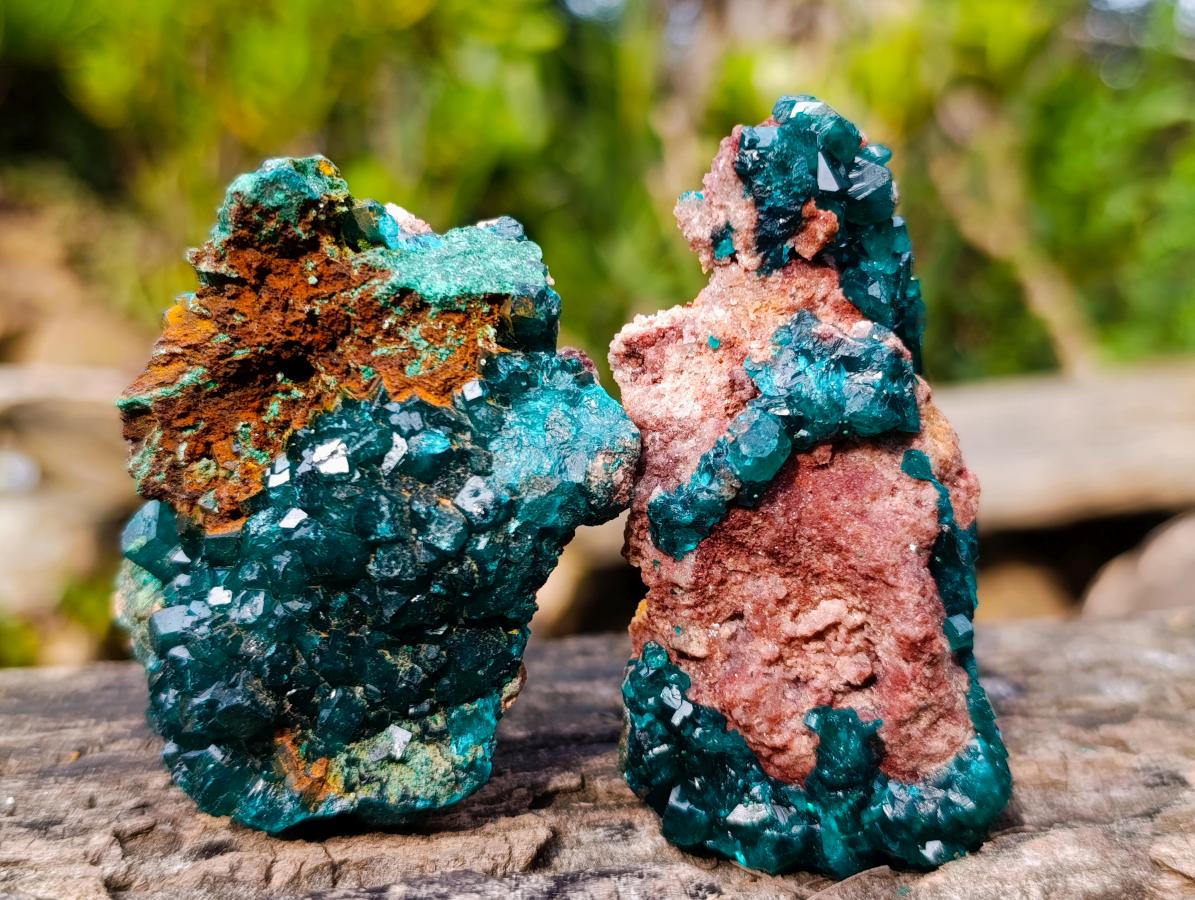 Natural Dioptase on Dolomite Specimens x 6 From Likasi, Congo - Toprock Gemstones and Minerals 