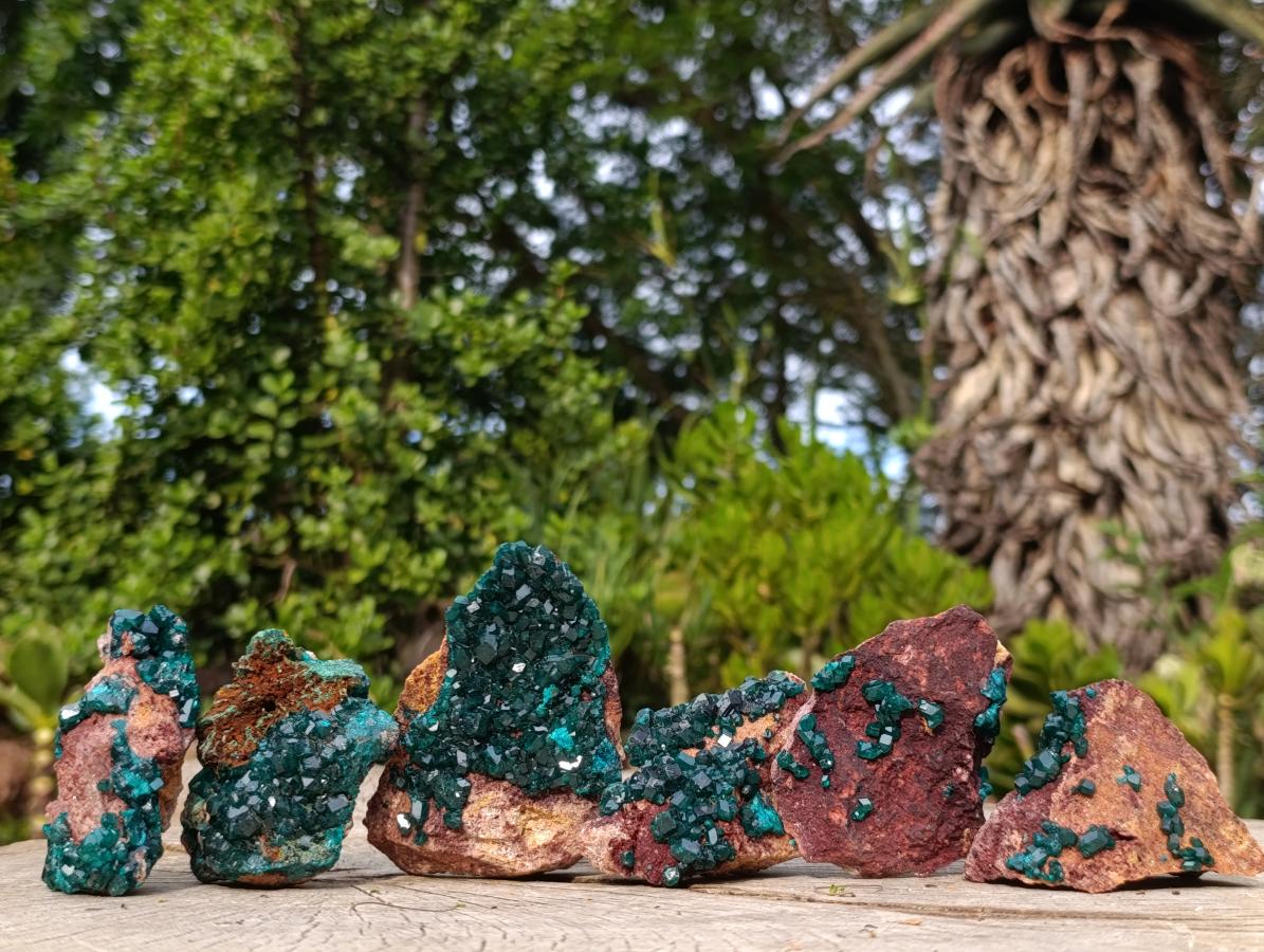 Natural Dioptase on Dolomite Specimens x 6 From Likasi, Congo - Toprock Gemstones and Minerals 